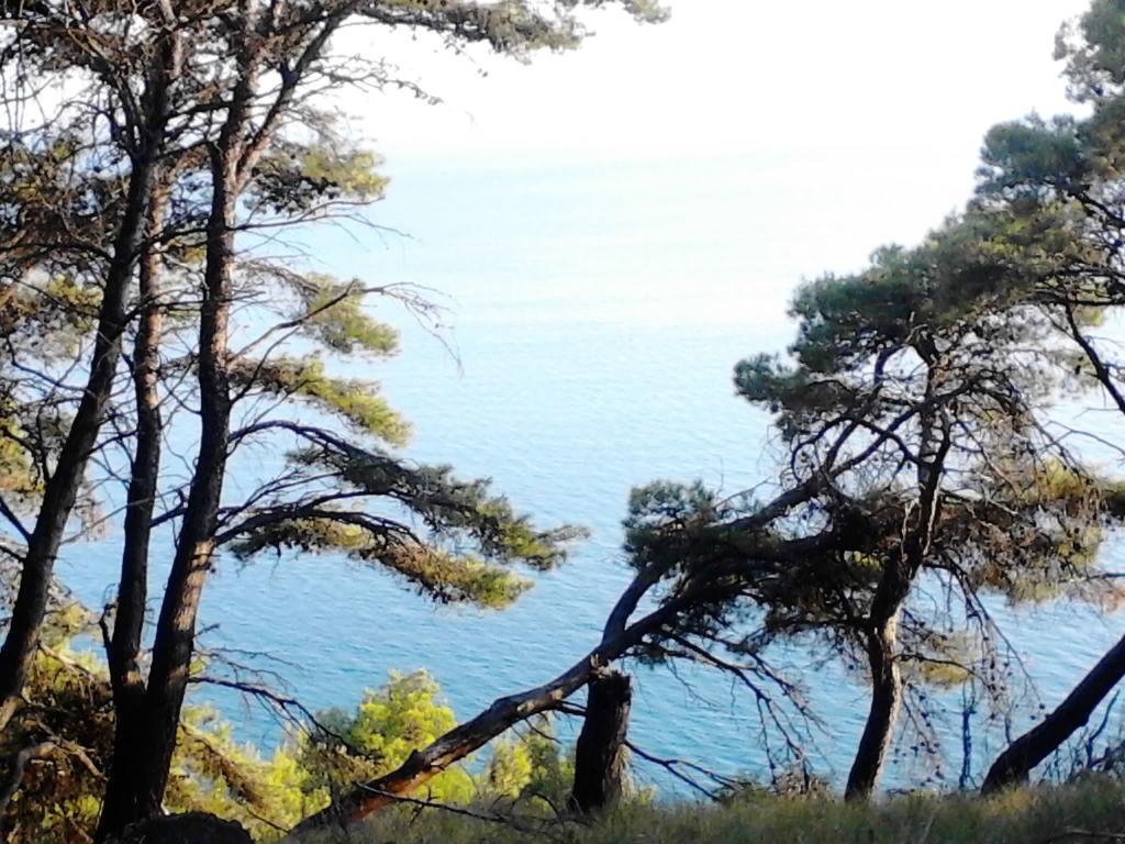 Villa Nefeli Loutsa  Bagian luar foto